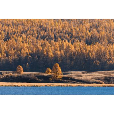 Fototapete PAPERMOON "See am Wald", bunt, B:4,5m L:2,8m, Vlies, Tapeten