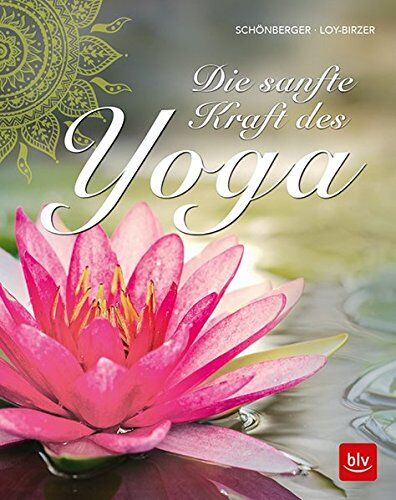Stephanie Schönberger - Die sanfte Kraft des Yoga - Preis vom 12.10.2026 11:37:12 h