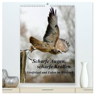 Scharfe Krallen, scharfe Augen, Greifvögel und Eulen im Wildpark (hochwertiger Premium Wandkalender 2026 DIN A2 hoch), Kunstdruck in Hochglanz