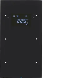 Berker 75642055 Touchsensor 2fach mit Temperaturregler R.3 Glas, schwarz