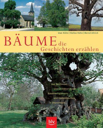 Uwe Kühn - Bäume, die Geschichten erzählen - Preis vom 02.10.2026 23:42:20 h