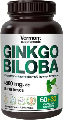Vermont Supplements Ginkgo Biloba 60+30 Capsules