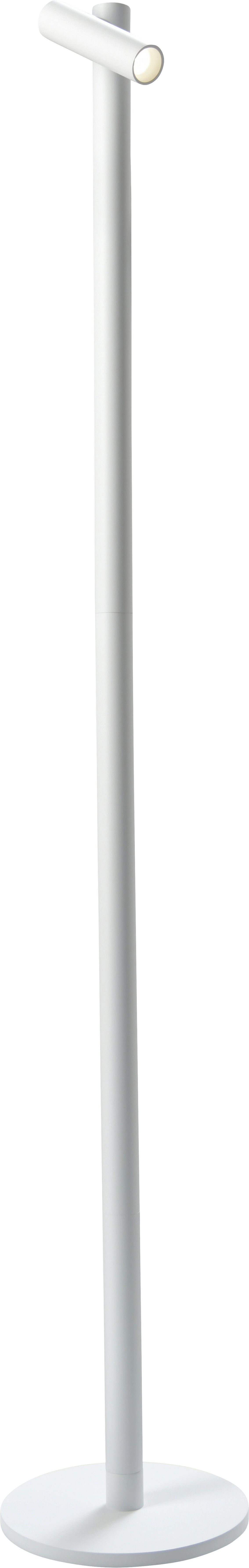 Sompex Lampada da Terra Tubo LED Bianca