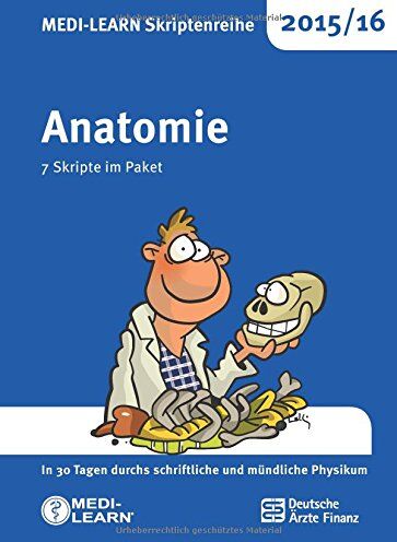 Ulrike Bommas-Ebert - MEDI-LEARN Skriptenreihe 2015/16: Anatomie im Paket: In 30 Tagen durchs schriftliche und mündliche Physikum - Preis vom 02.10.2026 23:42:20 h