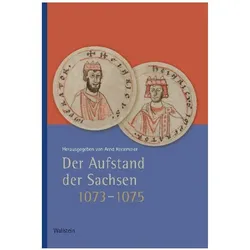 Der Aufstand der Sachsen 1073-1075, Fachbücher