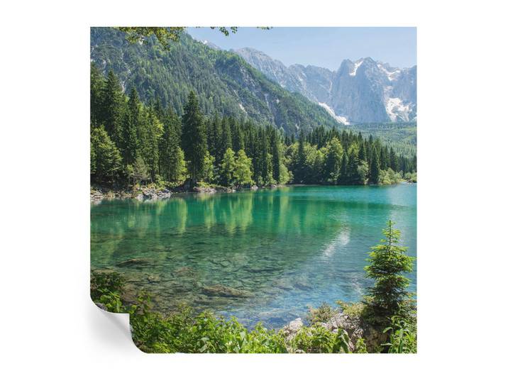 Wallfluent Fototapete 250x250 cm - Grüner See, 250x250 cm, Tapeten & Wandverkleidungen, Fototapeten