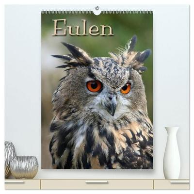 Eulen (hochwertiger Premium Wandkalender 2027 DIN A2 hoch), Kunstdruck in Hochglanz