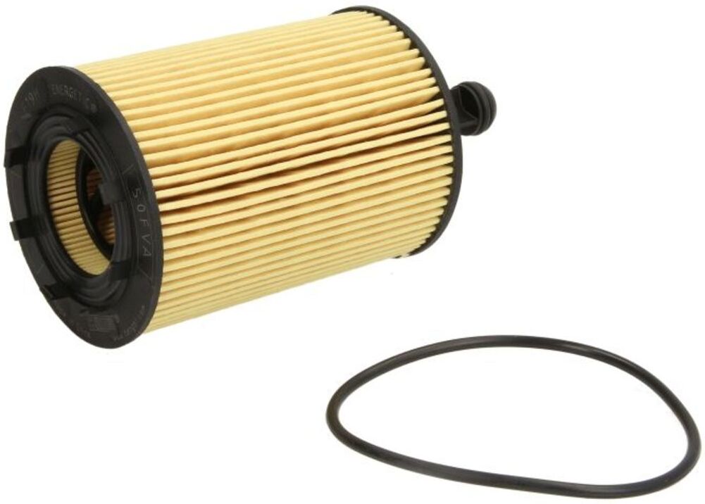 Hengst Filtration Filtro olio E19H D83
