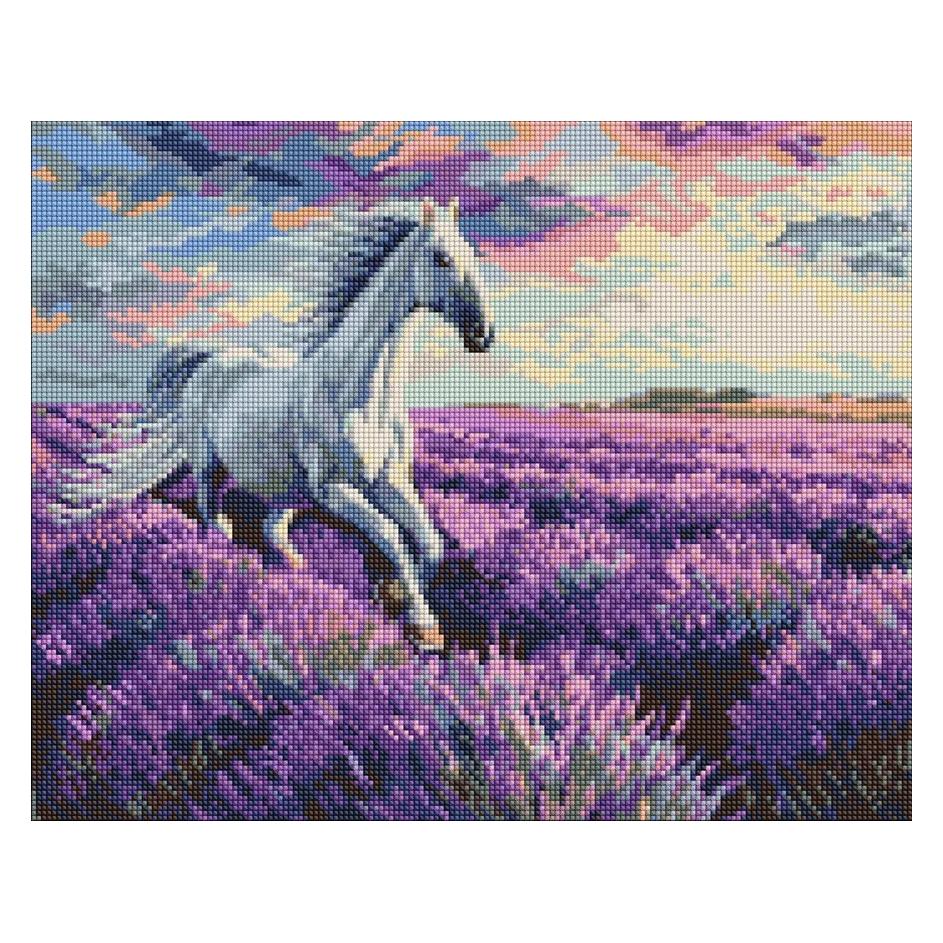Ideyka Diamond Painting mit Rahmen In den Lavendelfeldern 40 x 50 cm (AMO20227)