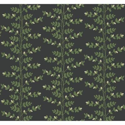 Rifle Paper Co.Climbing Vine Black Wallpaper