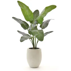 Designplants/Luca Lifestyle Strelitzia Nicolai Kunstpflanze (h:145 cm) mit Grigio Tall Balloon Blumentopf