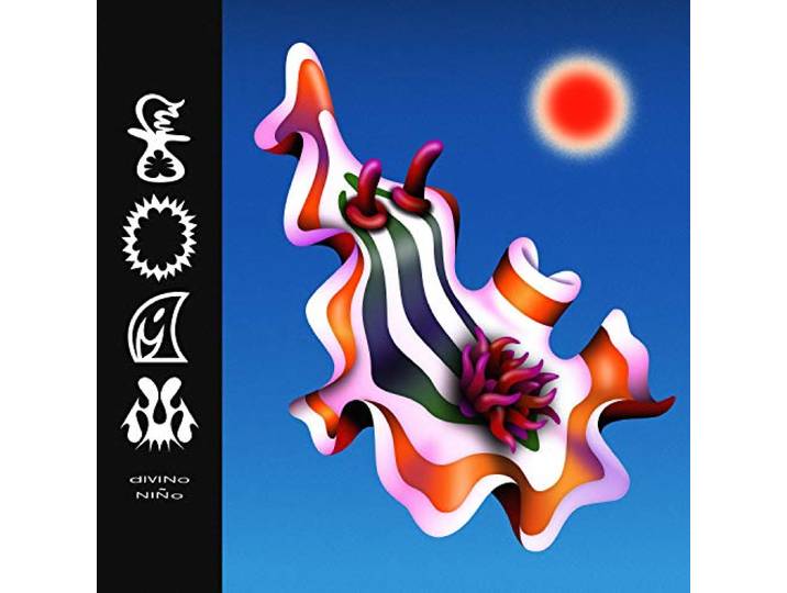 Divino Nino - Foam