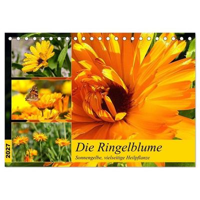 Die Ringelblume. Sonnengelbe, vielseitige Heilpflanze (Tischkalender 2027 DIN A5 quer), CALVENDO Monatskalender