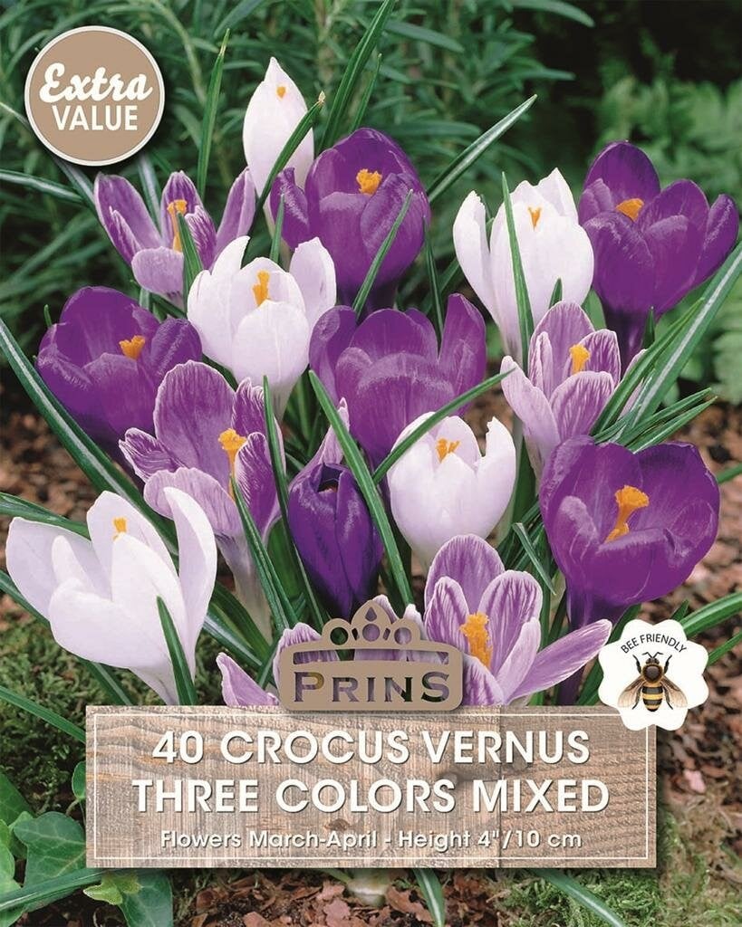Prins Krokus Mix 40 bollen