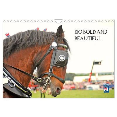 BIG BOLD AND BEAUTIFUL (Wall Calendar 2027 DIN A4 landscape), CALVENDO 12 Month Wall Calendar
