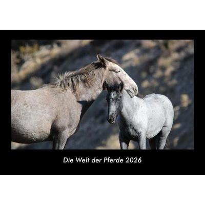 Die Welt der Pferde 2026 Fotokalender DIN A3