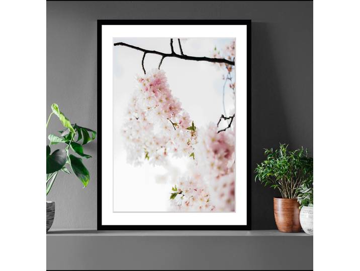 Bild QUEENCE Lilly , rosa (farbe rahmen: schwarz, farbe bild(er): rosa), B:30cm H:40cm, Acrylglas, Holz, Papier, Bilder, Bild, Blumen, gerahmt