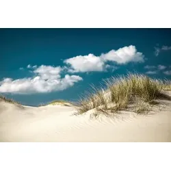Bild GRASS ON SAND S (BHT 150x100x3 cm) - bunt - BHT 150x100x3 cm