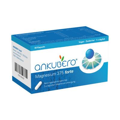 Magnesium 375 forte Kapseln 60 St