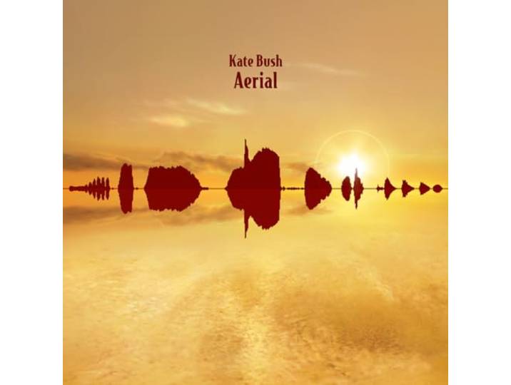 Aerial