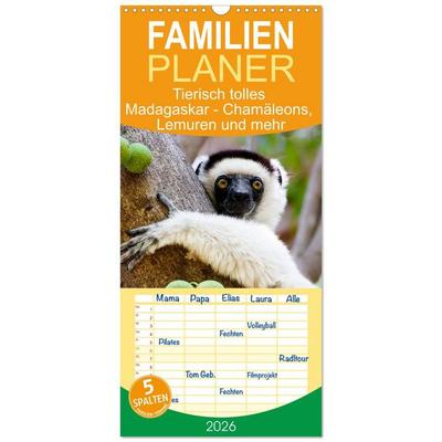 Familienplaner 2026 - Tierisch tolles Madagaskar - Chamäleons, Lemuren und mehr mit 5 Spalten (Wandkalender, 21 x 45 cm) CALVENDO