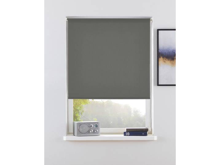 Rollo OTTO HOME THEMSE Gr. 1, grau (steingrau), B:45cm H:150cm, Polyester, Rollos, Rollo, Bestseller, Rollo Fenster, Seitenzugrollo, Verdunkelung, Topseller