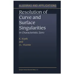 Resolution of Curve and Surface Singularities in Characteristic Zero, Fachbücher von J. L. Vicente, K. Kiyek, J L Vicente, K Kiyek