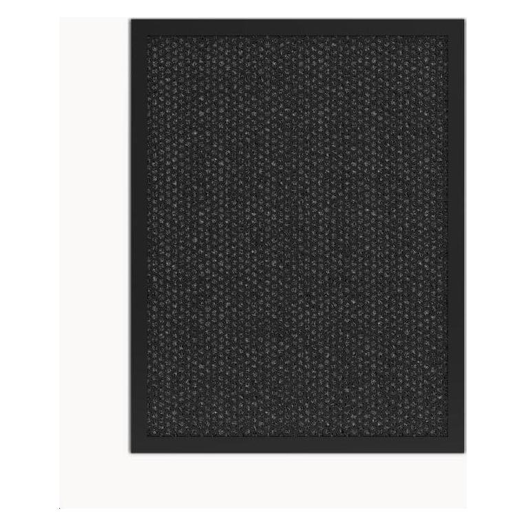 Tesla Carbon Filter (1x) (TSPROLCARFILT)