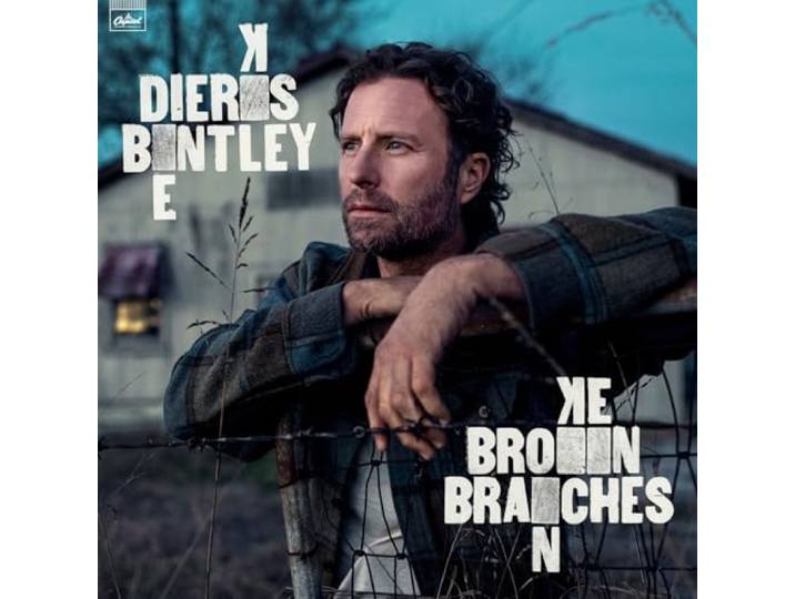 Broken Branches