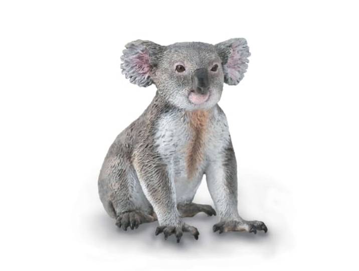 MiÄš Koala