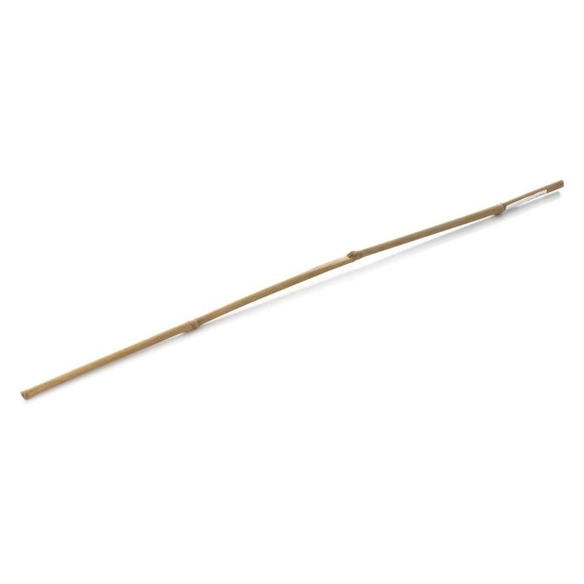 Garden Center STICK PLANT SUPP 76CM D6/8 BAMB(50-500) (76 cm) (66035350)