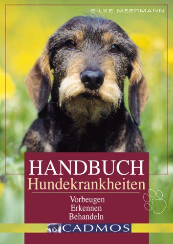 Silke Meermann - Handbuch Hundekrankheiten: Vorbeugen, Erkennen, Behandeln - Preis vom 30.09.2026 09:01:18 h