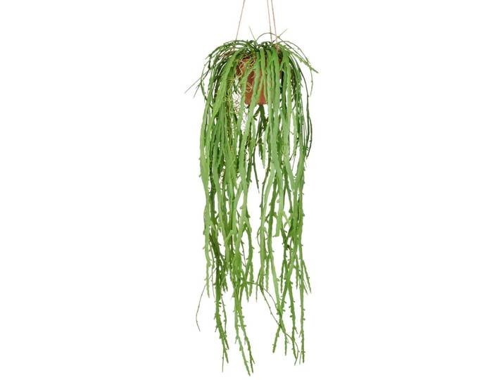 Kunstpflanze Rhipsalis Crispata Grün ca. 80cm