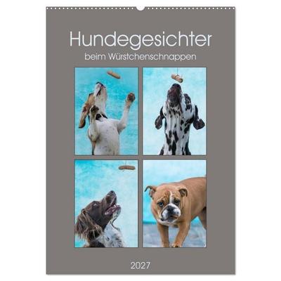 Hundegesichter beim Würstchenschnappen (Wandkalender 2027 DIN A2 hoch), CALVENDO Monatskalender