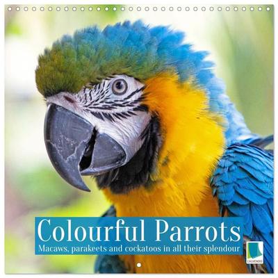 Colourful Parrots (Wall Calendar 2027 12 × 12 Inch) CALVENDO 12 Month Wall Calendar