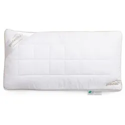 GOLDWOLKE Kissen mit Memory Foam & Füllung für elastische oder größere Bezüge
