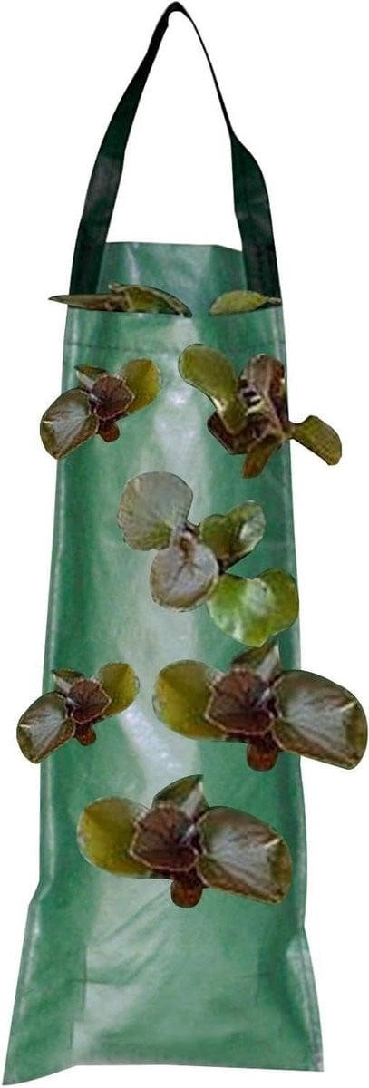 Groene hangende kweekzakken voor verticale plantenzakken om groenten te kweken, 53 x 23 cm