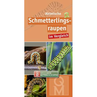 Heimische Schmetterlingsraupen, Sonstige von , Quelle & Meyer, 978-3-494-01811-9