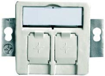 Telegärtner Support de module 2 fois encastré/50 aws vide pour BR 100021416 (100021416)