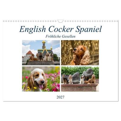 English Cocker Spaniel - Fröhliche Gesellen (Wandkalender 2027 DIN A3 quer), CALVENDO Monatskalender