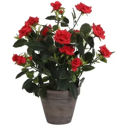 MICA DECORATIONS - Roter Rosenbusch Pvc mit grauem Topf