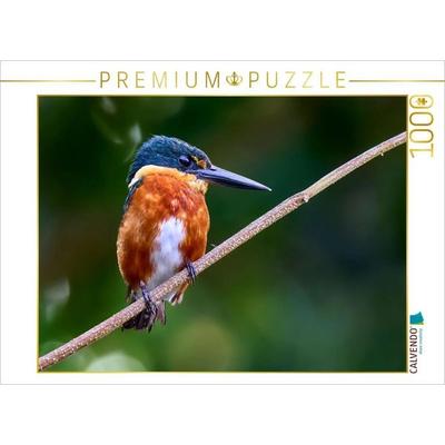 CALVENDO Puzzle Erzfischer aus Costa Rica | 1000 Teile Lege-Größe 64x48cm Foto-Puzzle für glückliche Stunden