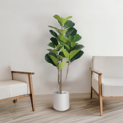 "Fiddle Leaf Fig   47 Â¼""   MOD LIGHTING"