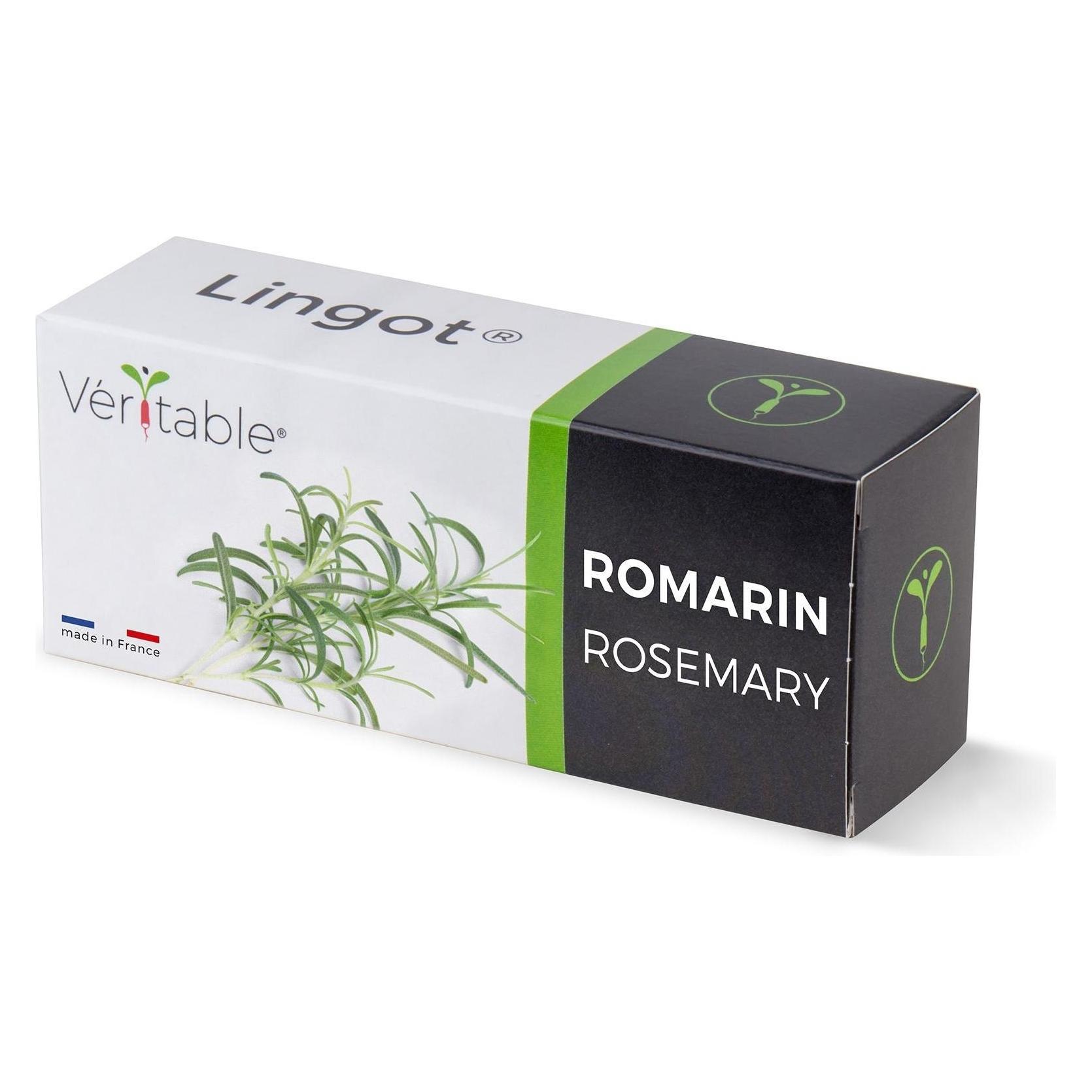Véritable Rosmarin (Kräutersamen) (3760262510552)