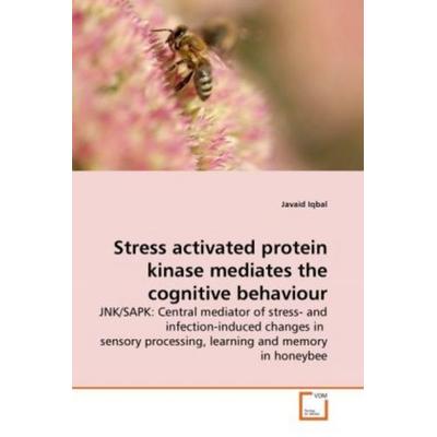 Iqbal, J: Stress activated protein kinase mediates the cogni, Taschenbuch von Javaid Iqbal, VDM, 978-3-639-26837-9