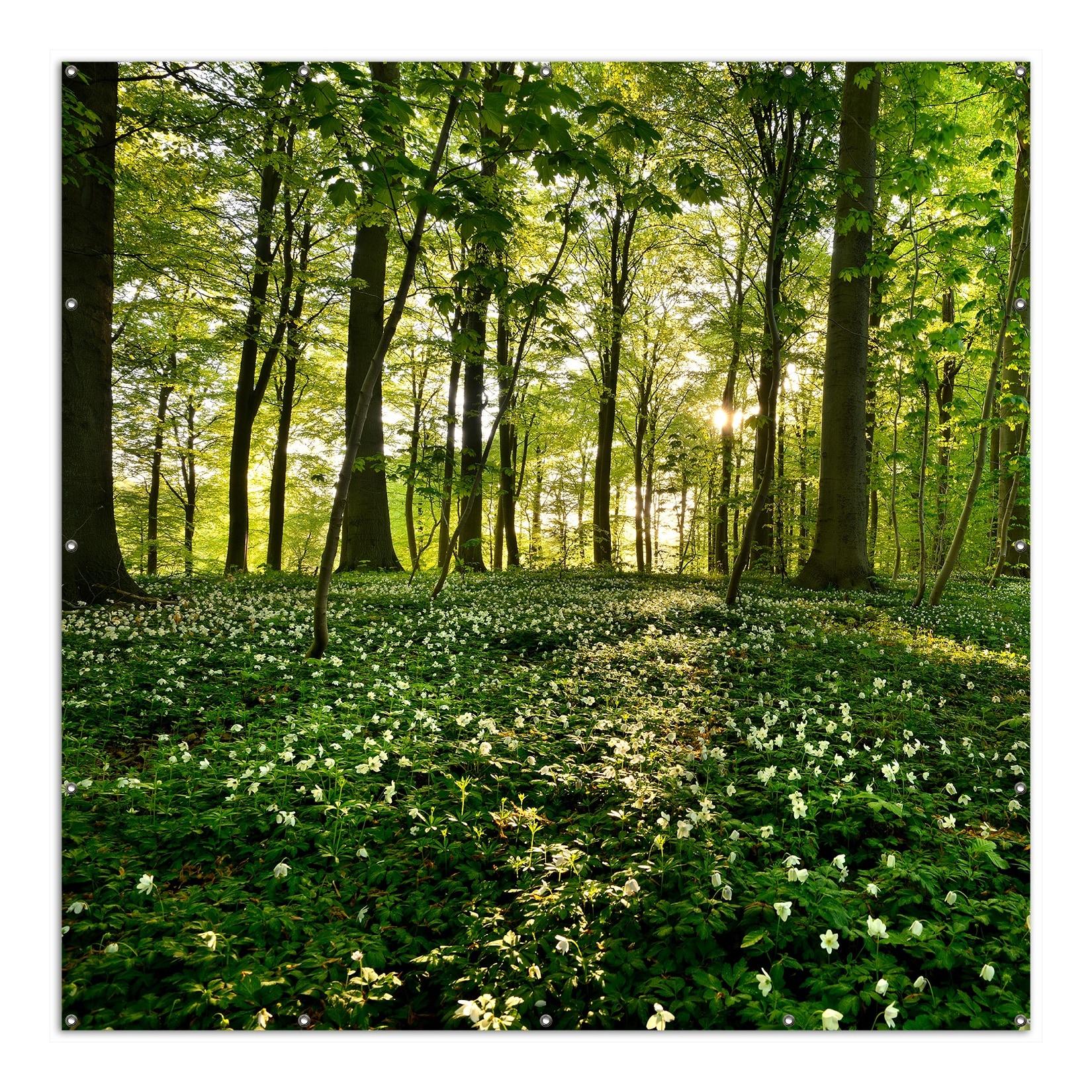 Wallario Gartenposter ca. 180 x 180cm, 2-teilig Waldanemonen und Sonnenstrahlen im Wald