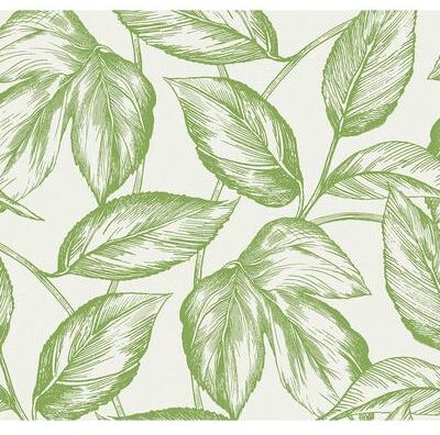 Seabrook Designs Beckett Sketched Leaves Unpasted Wallpaper
