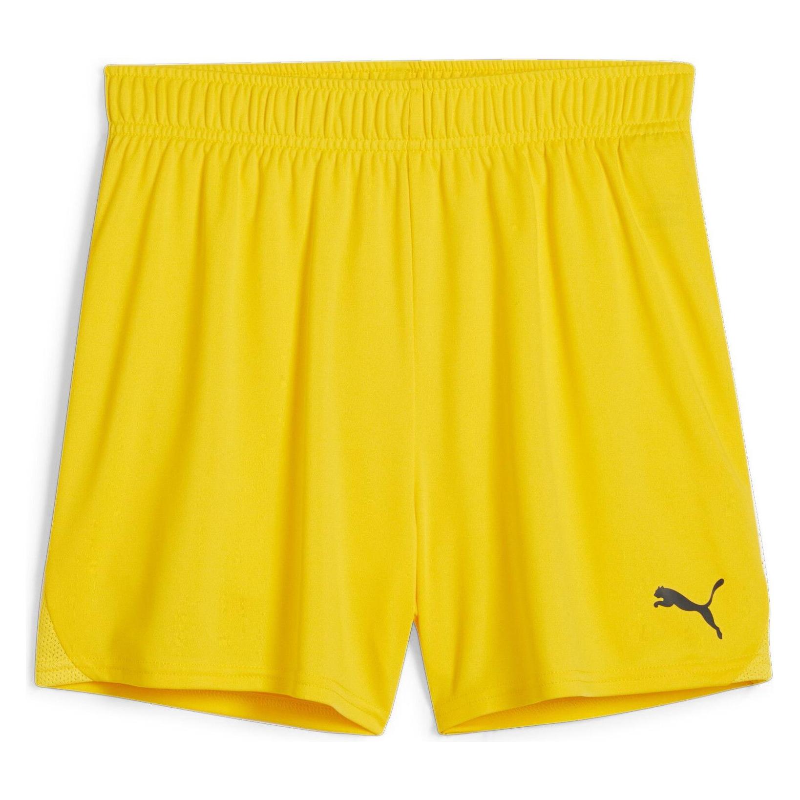 Puma teamGOAL Handball Shorts W (XL) (706019_07)