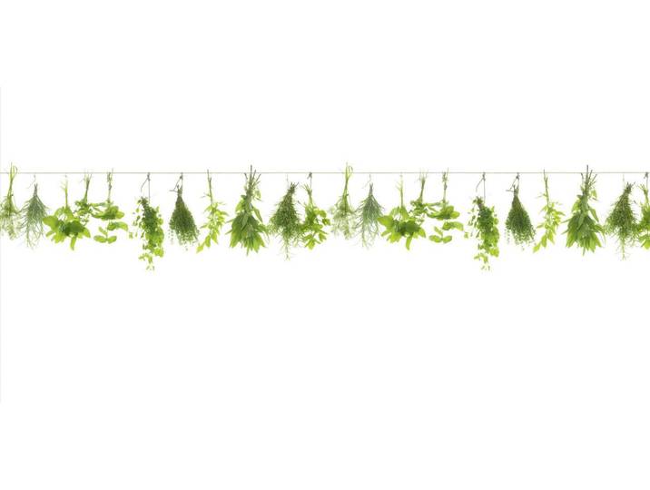 GetaLit Küchenrückwand Küchenrückwand WandArt easy 120 x 58,5 cm, 3 mm