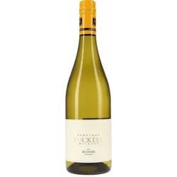 Silvaner trocken Weingut Zehnthof 2025 BIO